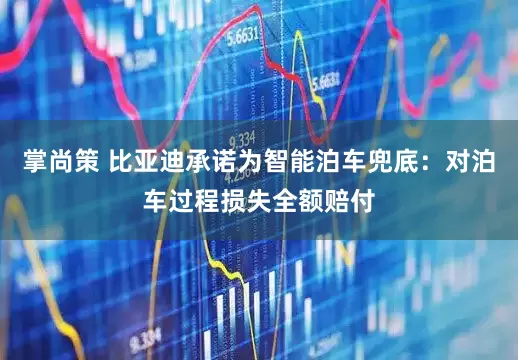 掌尚策 比亚迪承诺为智能泊车兜底：对泊车过程损失全额赔付