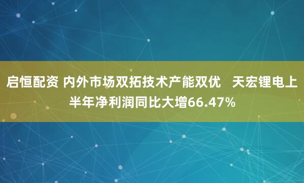 启恒配资 内外市场双拓技术产能双优   天宏锂电上半年净利润同比大增66.47%